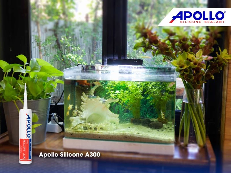 Sản phẩm Apollo Silicone A300 giải pháp trám kín các công trình bằng kính