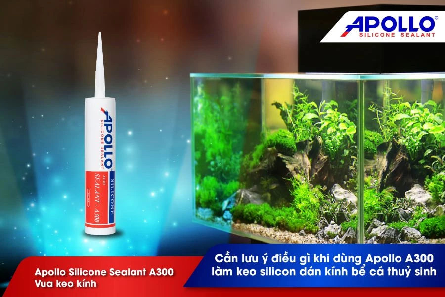 Cần lưu ý điều gì khi chọn mua keo silicon dán kính bể cá thuỷ sinh