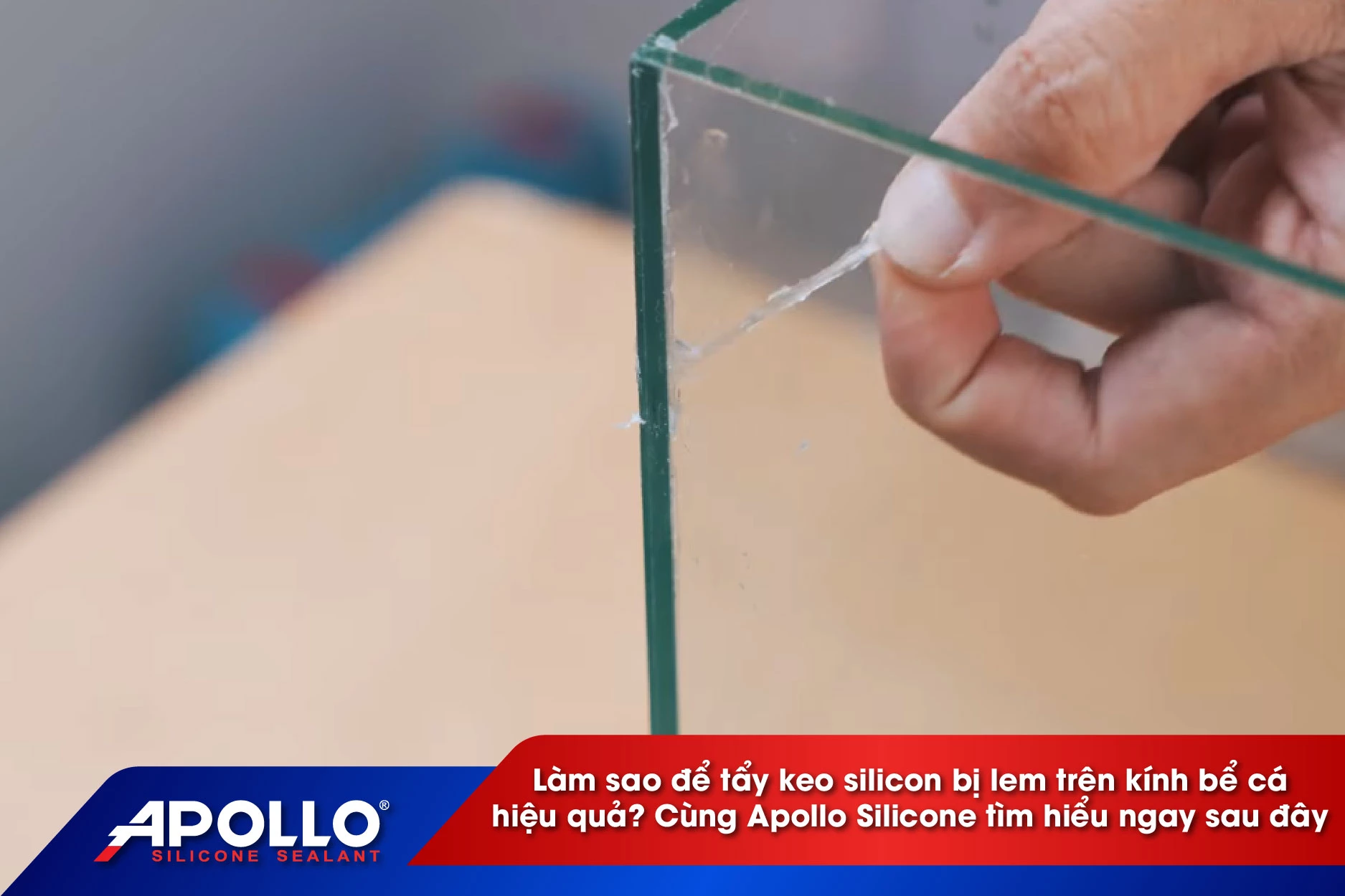 Làm sao để tẩy keo silicon bị lem trên kính bể cá hiệu quả?