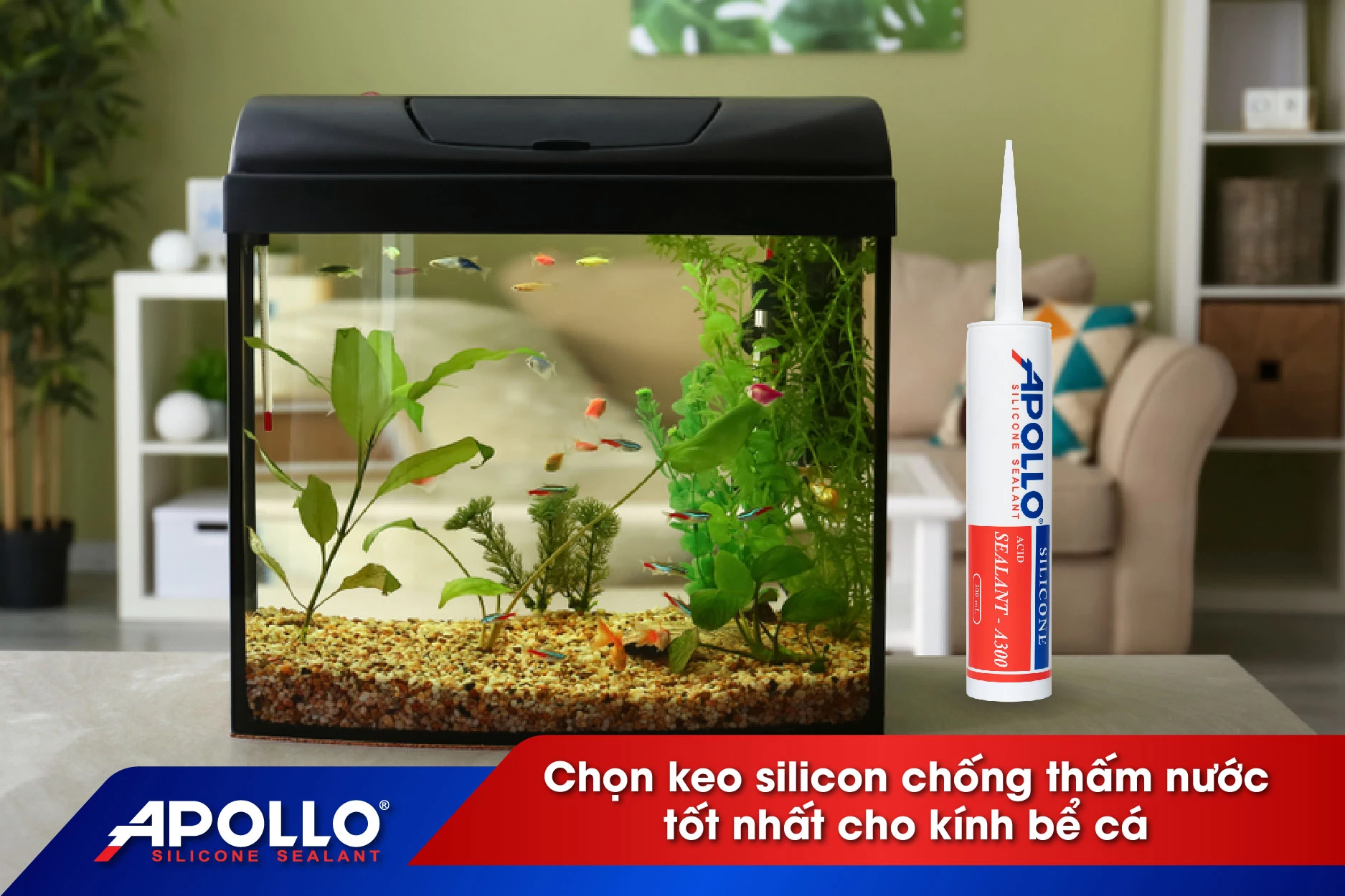 Chọn keo silicon chống thấm nước tốt nhất để dán kính bể cá