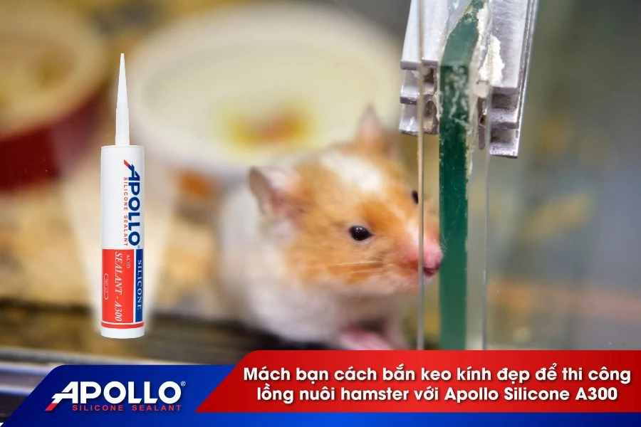 Cách bắn keo kính đẹp để thi công lồng nuôi hamster với Apollo Silicone