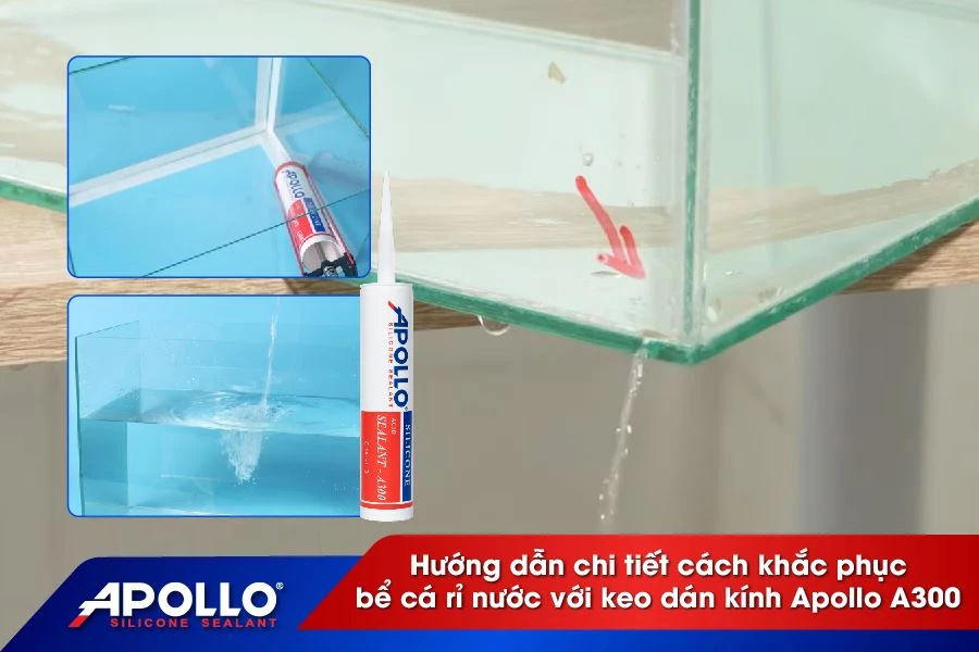 Hướng dẫn chi tiết cách khắc phục bể cá rỉ nước với keo dán kính Apollo A300