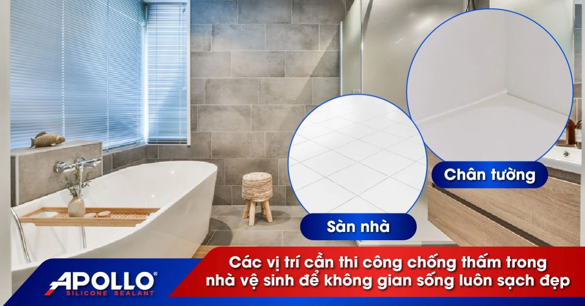 Định hình Nhà vệ sinh - Vị trí và Thiết kế hoàn hảo cho không gian sống