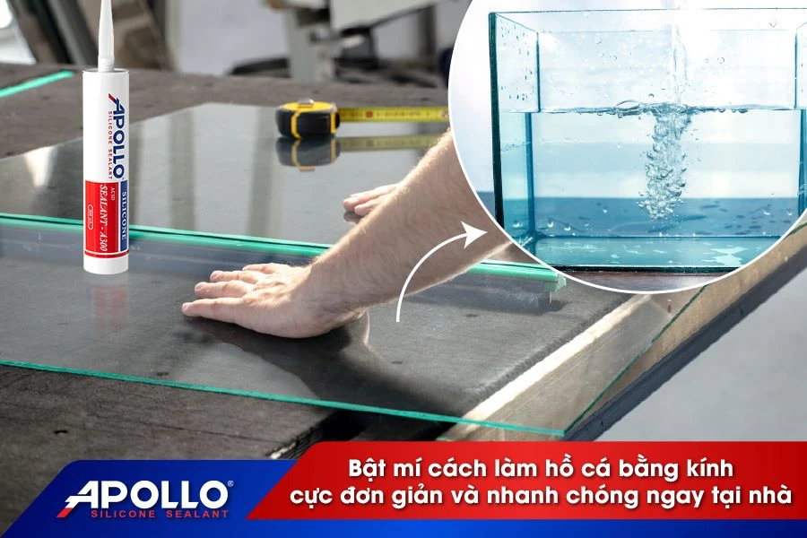 Bật mí cách làm hồ cá bằng kính cực đơn giản và nhanh chóng ngay tại nhà