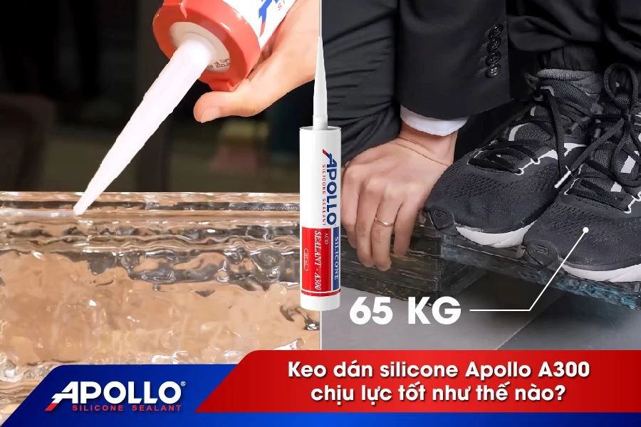 Keo dán silicone Apollo A300 chịu lực tốt như thế nào?