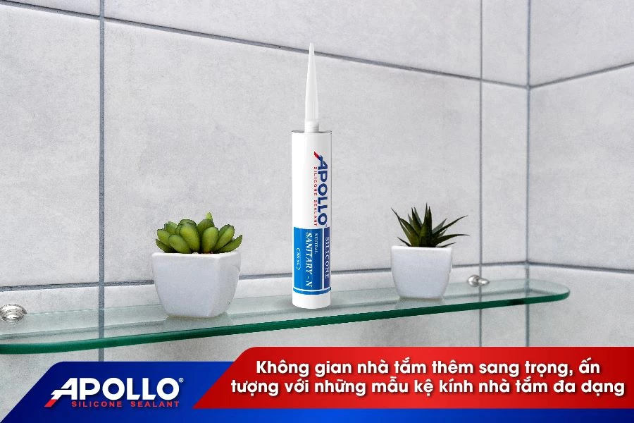 Những mẫu kệ kính nhà tắm biến không gian nhà tắm trở nên tiện nghi hơn với Apollo Silicone