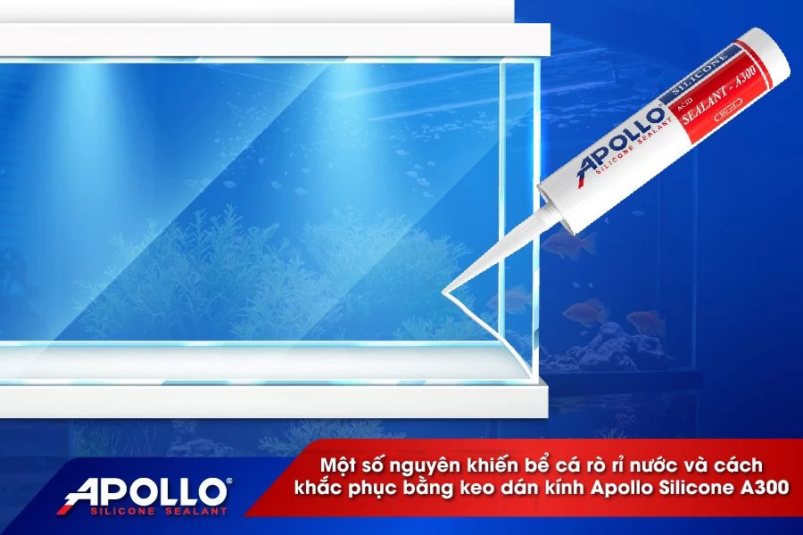 Một số nguyên khiến bể cá rò rỉ nước và cách khắc phục bằng keo dán kính Apollo Silicone A300