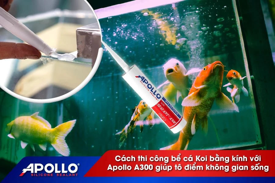 Cách thi công bể cá Koi bằng kính với Apollo A300 giúp tô điểm không gian sống