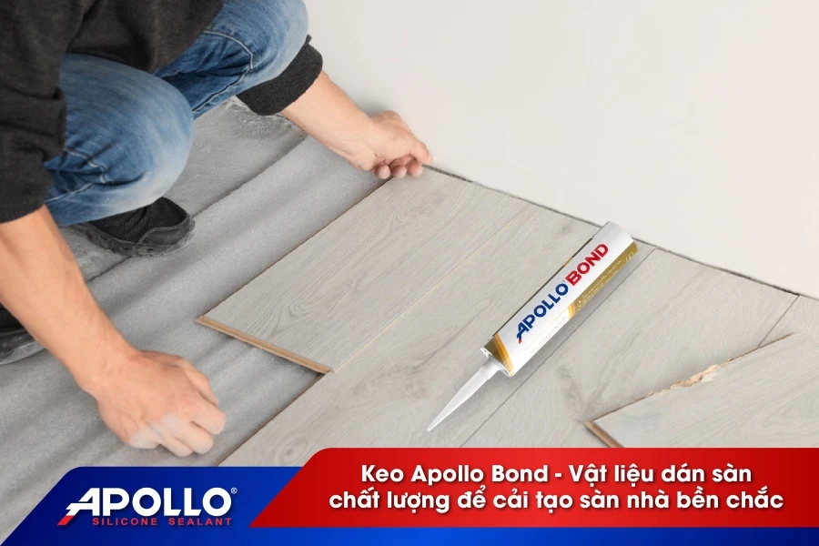 Keo Apollo Bond - Vật liệu dán sàn chất lượng để cải tạo sàn nhà bền chắc