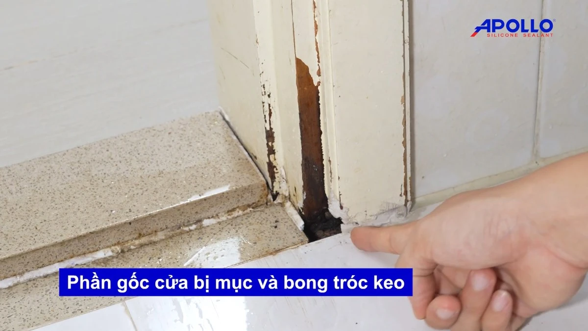 Phần gốc cửa bị mục và bong tróc keo là nguyên nhân làm xuất hiện khe hở nhỏ gây rò rỉ nước từ nhà tắm