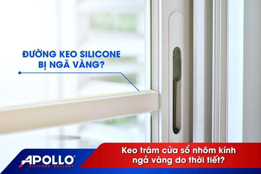 Keo silicon trám cửa sổ nhôm kính ngả vàng có phải do thời tiết? Cách khắc phục với Apollo Silicone