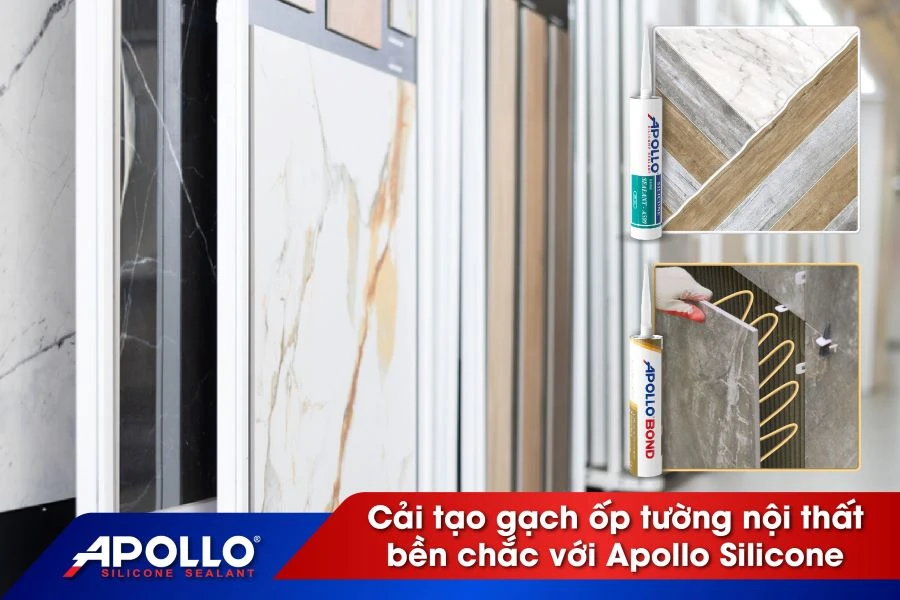 Cải tạo gạch ốp tường nội thất bền chắc với Apollo Silicone