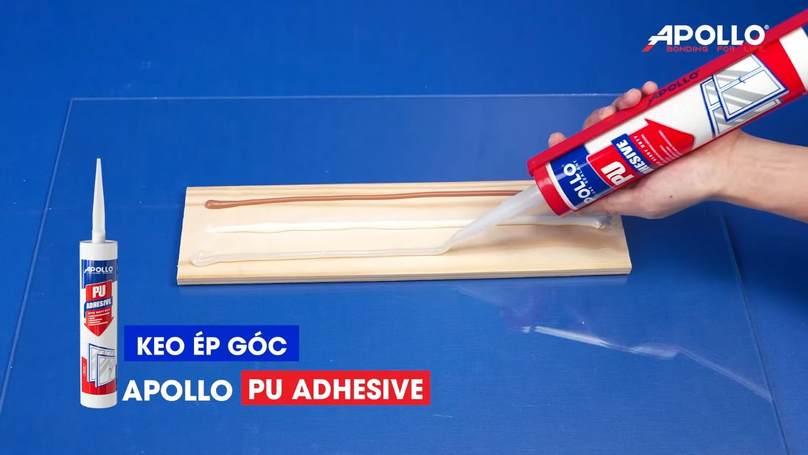 Keo ép góc Apollo PU Adhesive là một sản phẩm gốc PU, được phát triển chuyên dụng cho ngành nhôm kính