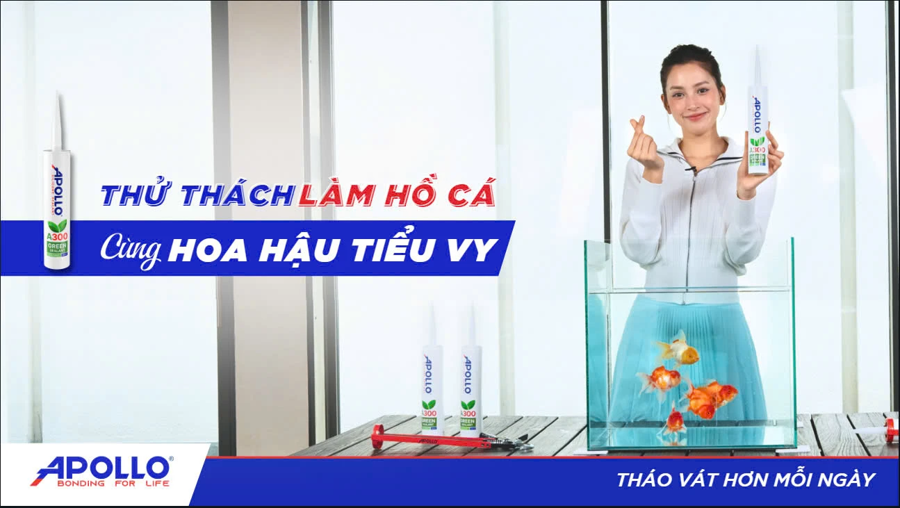 Thử thách Hoa Hậu Tiểu Vy dán hồ cá Aquascape xanh: Liệu có thành công? | Tháo vát hơn mỗi ngày