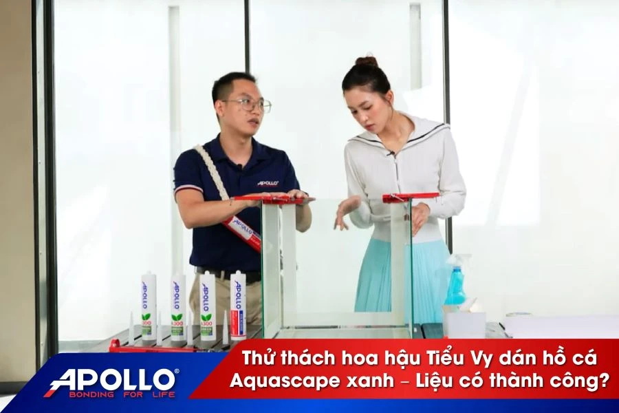 Thử thách hoa hậu tiểu vy dán hồ cá Aquascape xanh – Liệu có thành công?