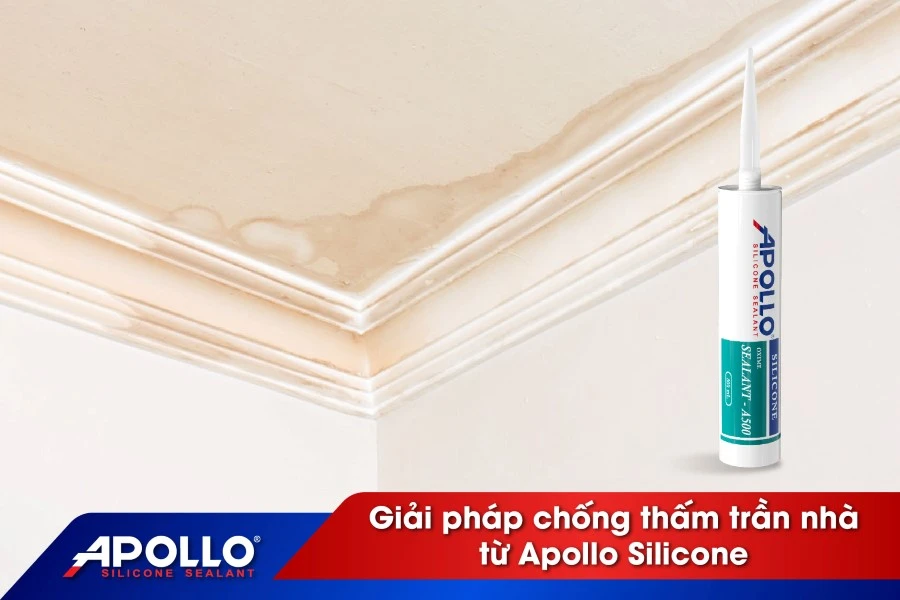 Giải pháp chống thấm trần nhà thạch cao triệt để từ Apollo Silicone