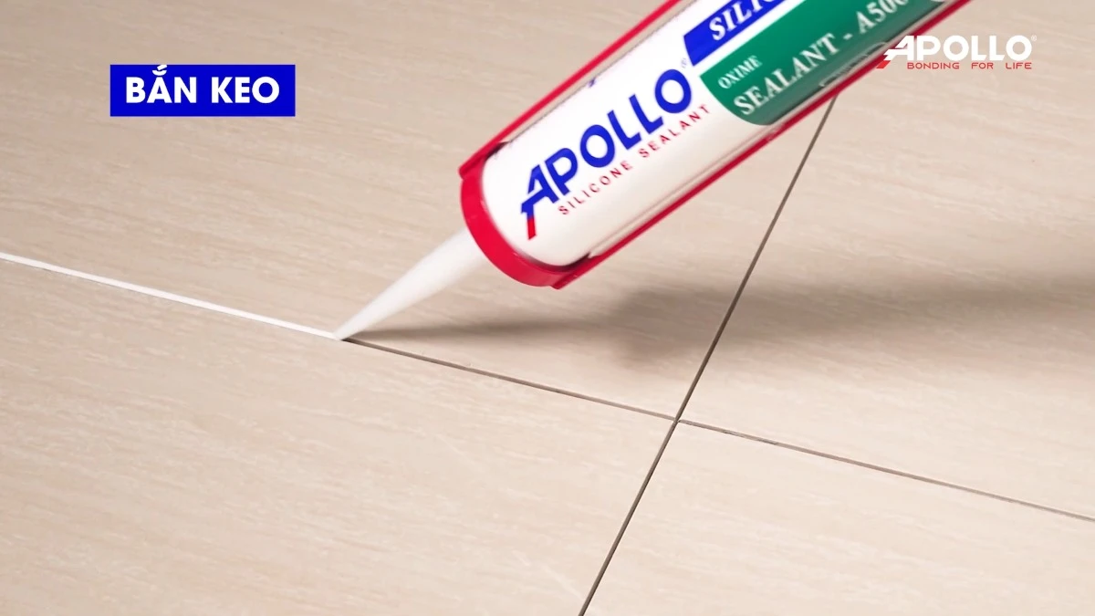 Tiến hành bắn keo Apollo A500 trám khe hở giữa 2 viên gạch