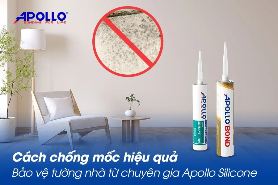 Cách chống mốc hiệu quả bảo vệ tường nhà từ chuyên gia Apollo Silicone