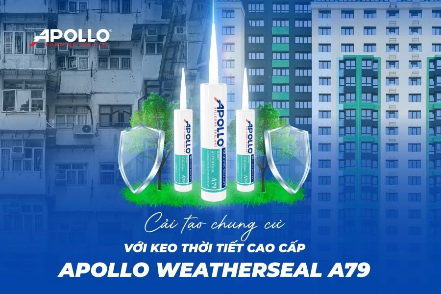 Giải pháp chống thấm công trình và bảo vệ bề mặt: Những sai lầm phổ biến cần tránh