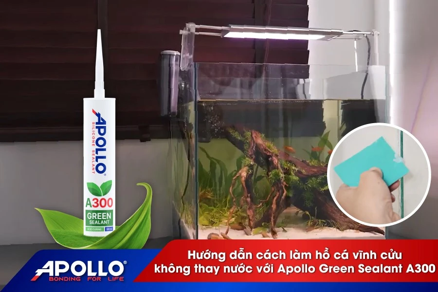 Hướng dẫn cách làm hồ cá vĩnh cửu không thay nước với Apollo Green Sealant A300