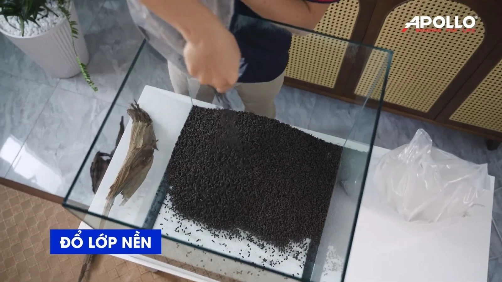 Chuẩn bị lớp nền để cây bám vào, lấy chất dinh dưỡng và cần thi công cẩn thận với khâu này