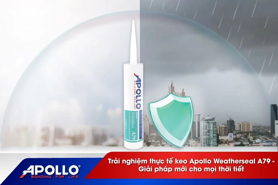 Trải nghiệm thực tế keo Apollo Weatherseal A79