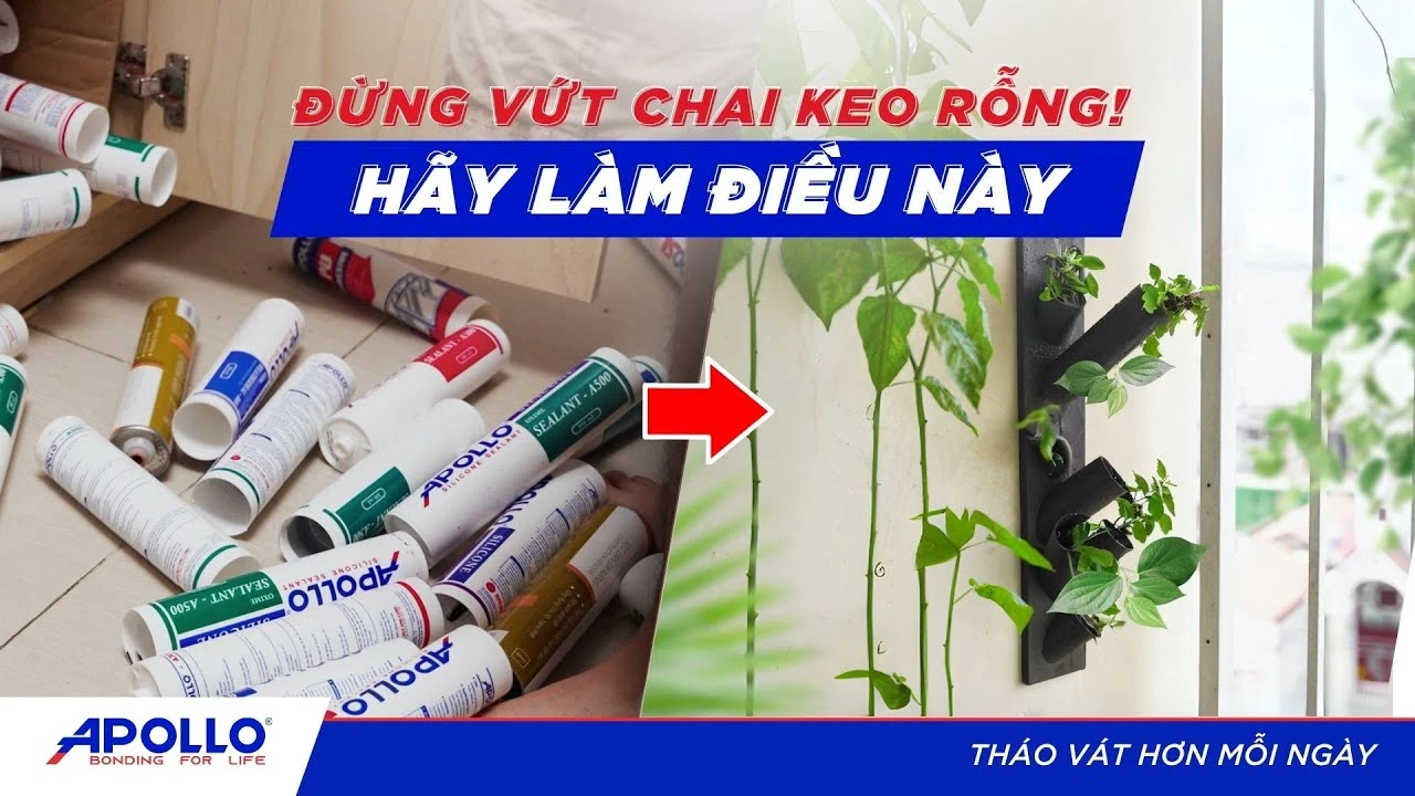 TÁI SỬ DỤNG vỏ chai keo silicone theo cách này cực sáng tạo lại giúp bảo vệ môi trường