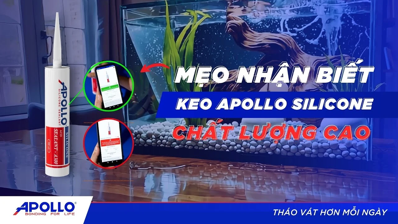 Hướng dẫn cách phân biệt keo THẬT - GIẢ với Apollo Silicone | Tháo vát hơn mỗi ngày