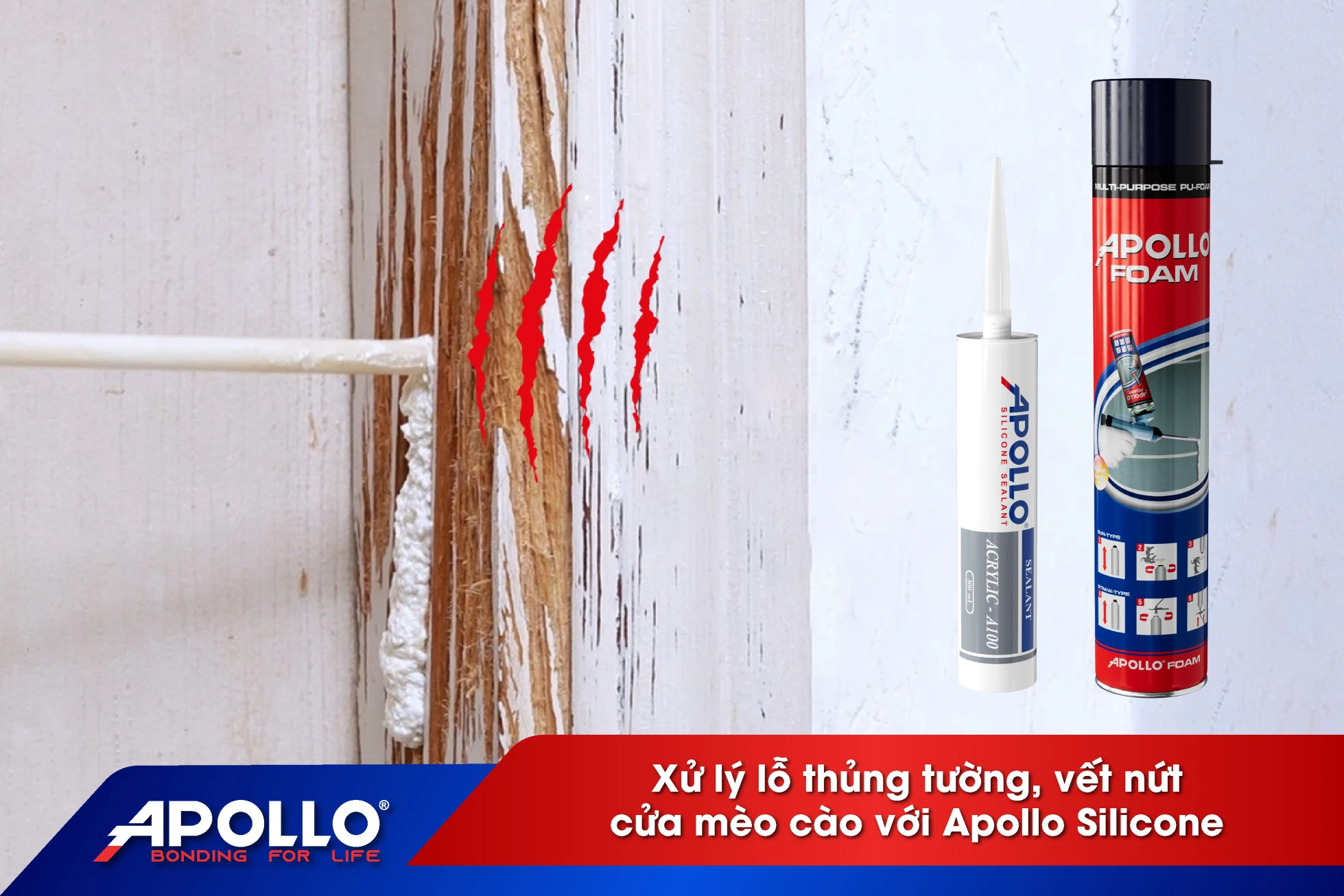 Xử lý lỗ thủng, vết nứt cửa mèo cào với Apollo Silicone