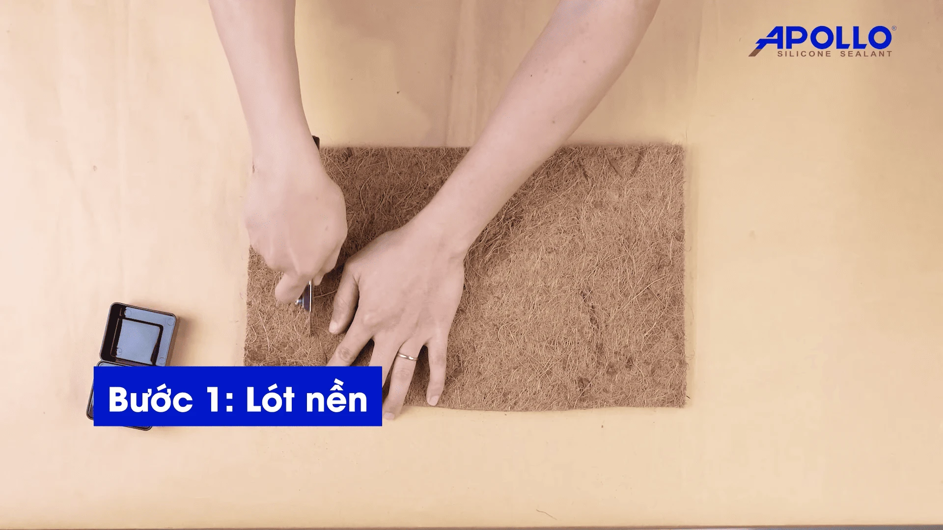 lót nền thảm xơ dừa để trang trí bể kính terrarium