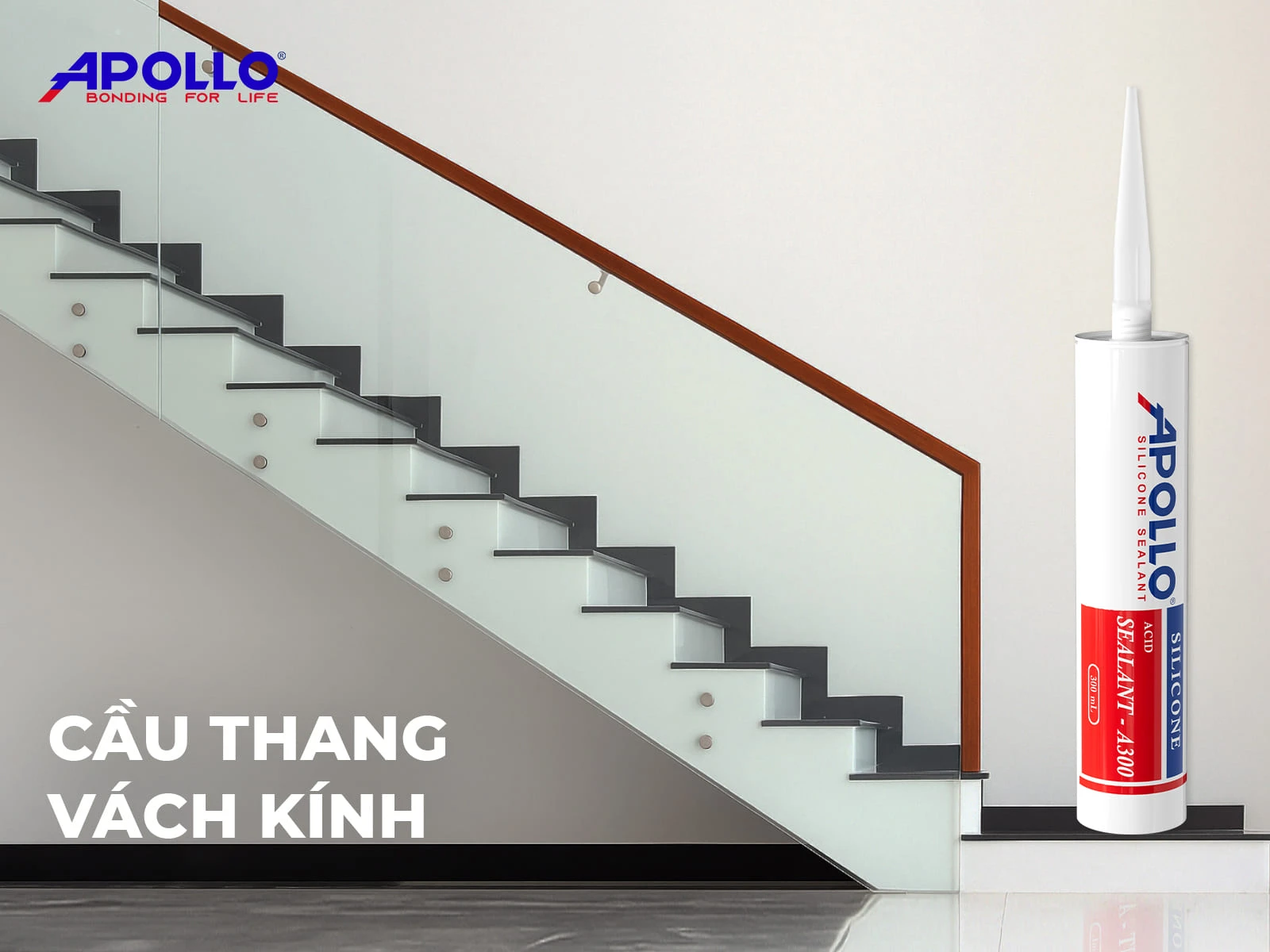 cầu thang vách kính tạo điểm nhấn cho không gian