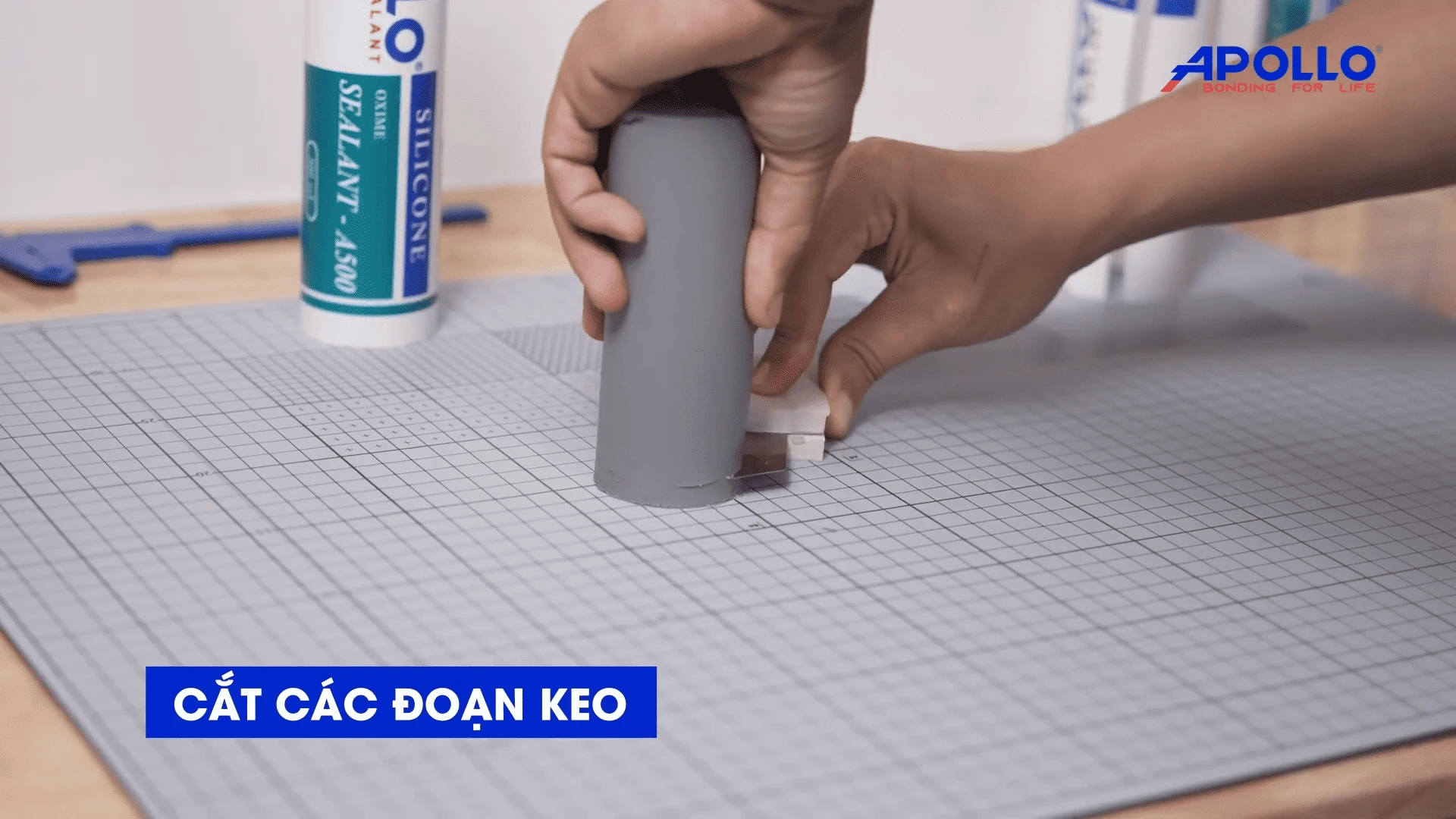 Sau khi lấy keo khô, cắt keo thành các đoạn có kích thước phù hợp