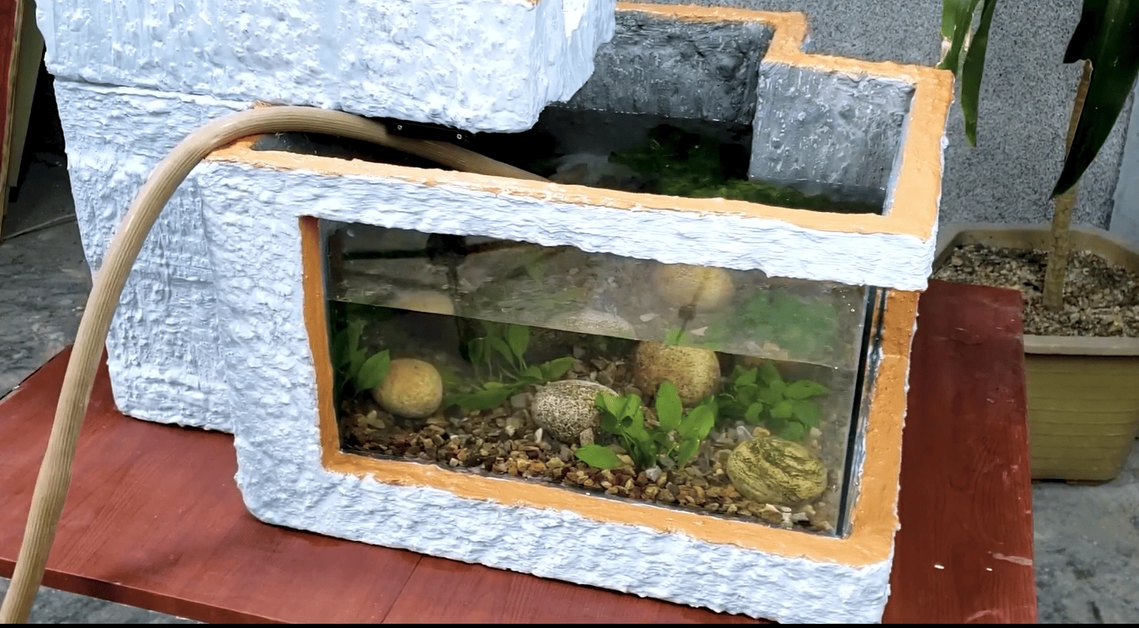 Đổ nước vào và trang trí cho bể cá thêm phần sinh động hơn