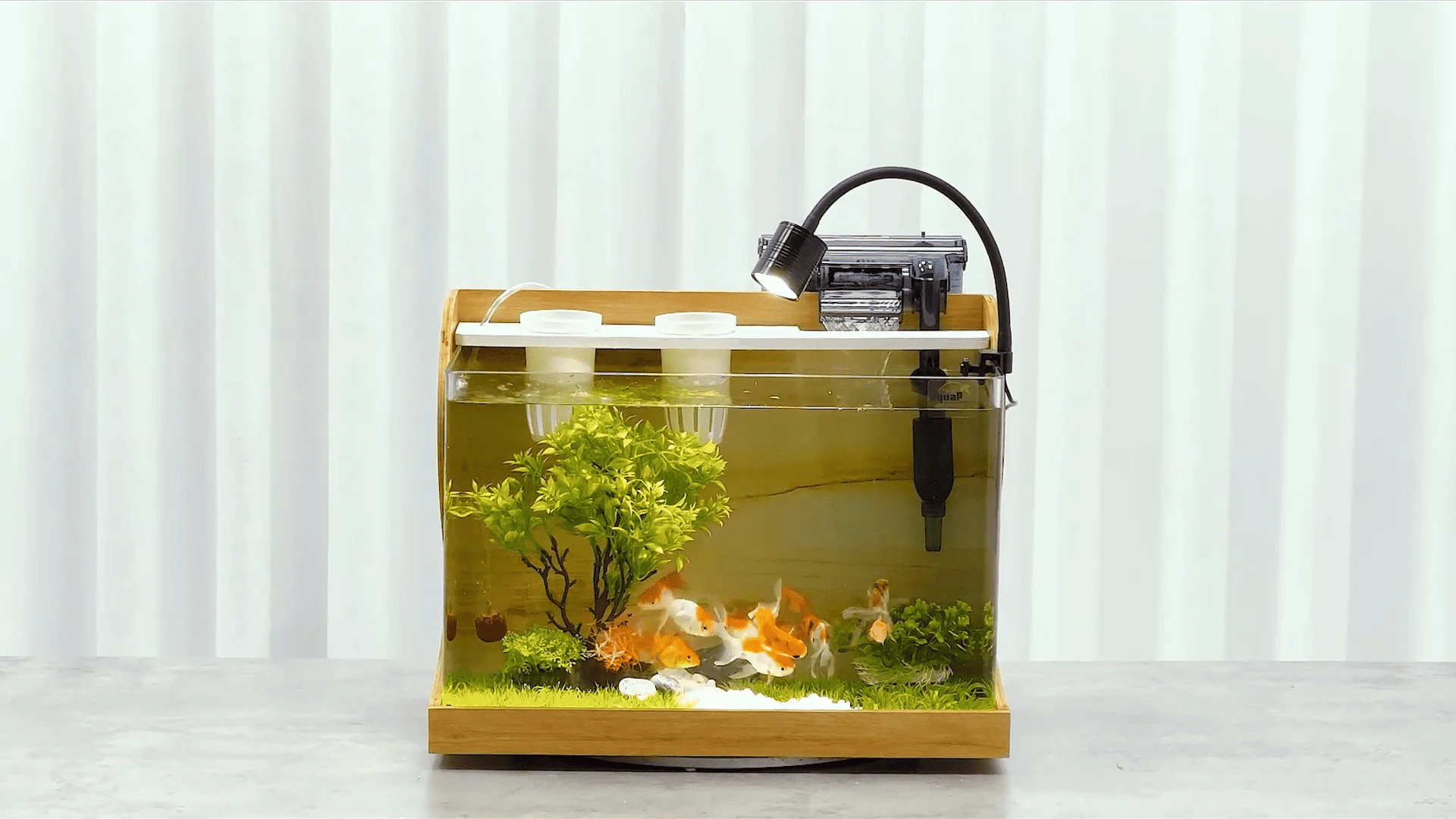 Hồ cá mini để bàn làm việc giúp trang trí không gian làm việc thêm sinh động