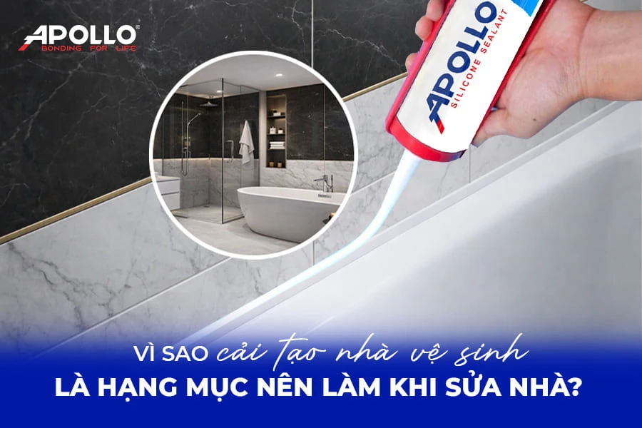 Vì sao cải tạo nhà vệ sinh là hạng mục nên làm khi sửa nhà