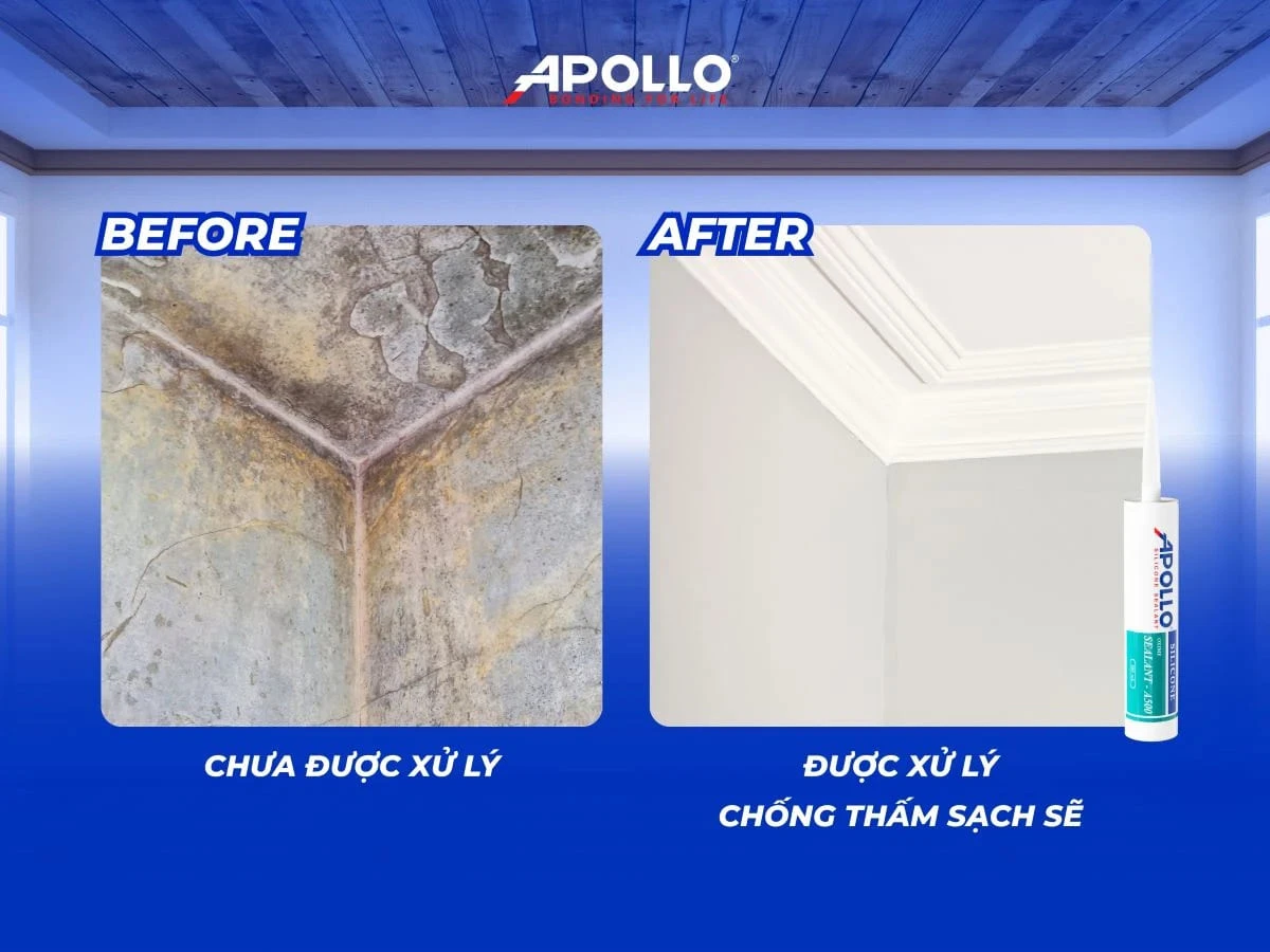 Vệ sinh và sơn chống thấm tường giúp xử lý triệt để nhà bị ẩm mốc