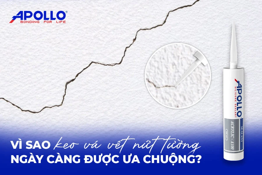 Vì sao keo vá vết nứt tường Apollo A100 ngày càng được ưa chuộng?