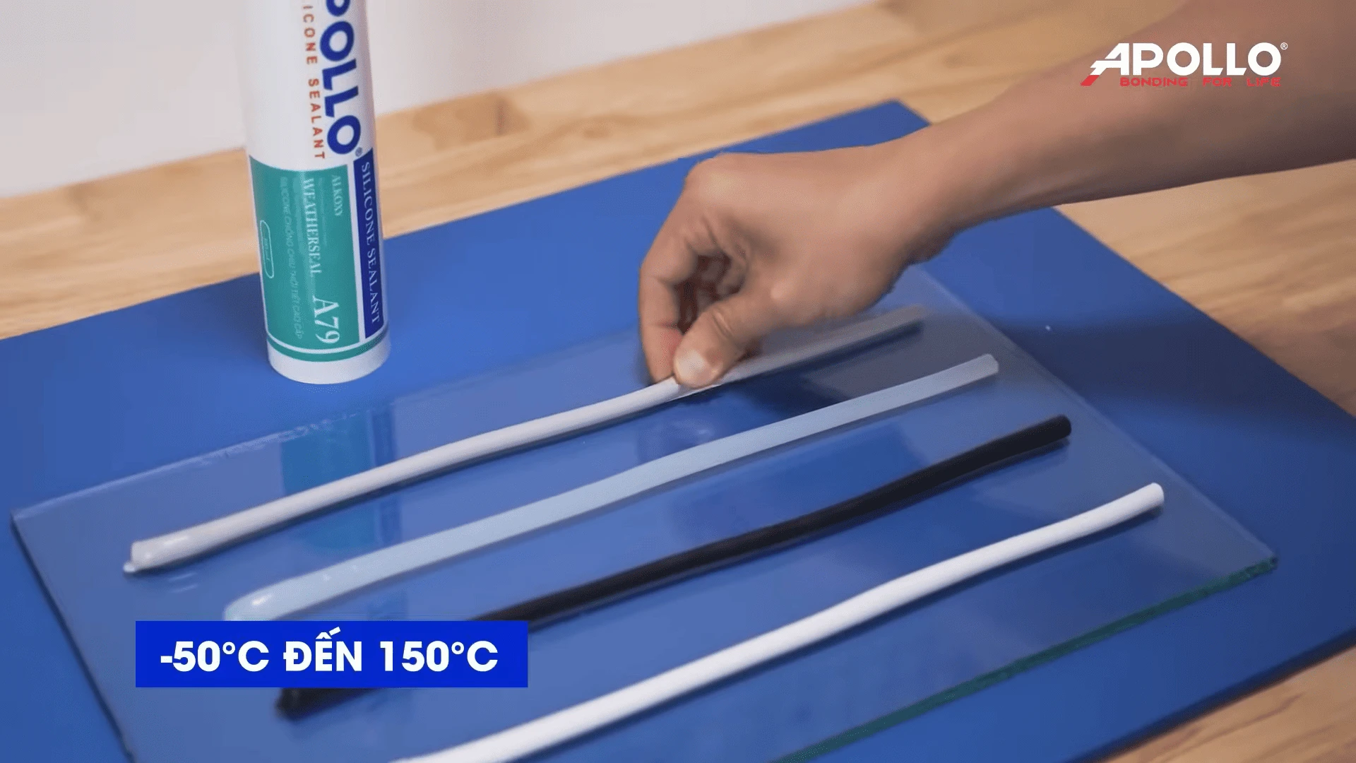 Apollo Weatherseal A79 có 4 màu cơ bản phù hợp cho nhiều thiết kế khác nhau