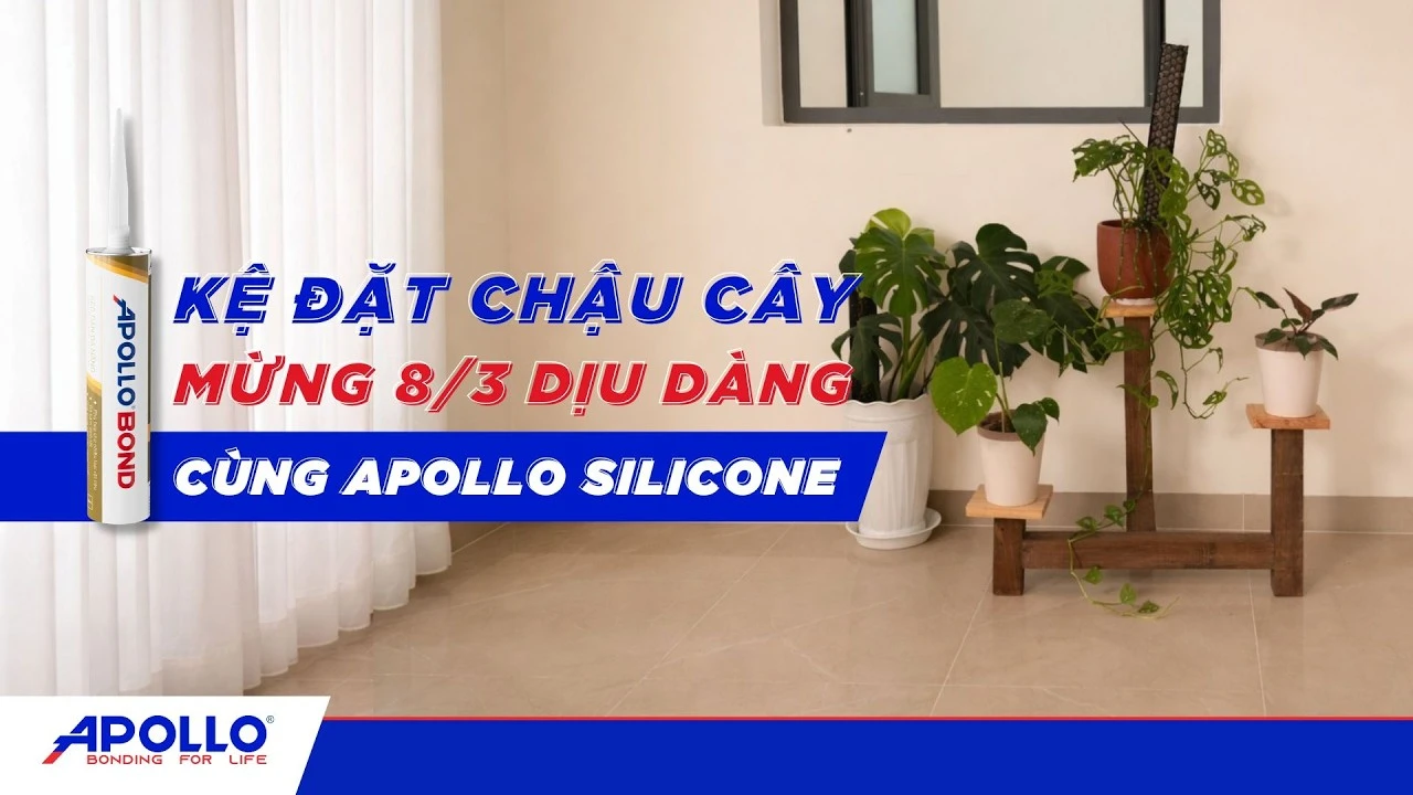 Cách làm kệ đặt chậu cây mừng 08/03 với keo dán đa năng Apollo Bond | Tháo vát hơn mỗi ngày