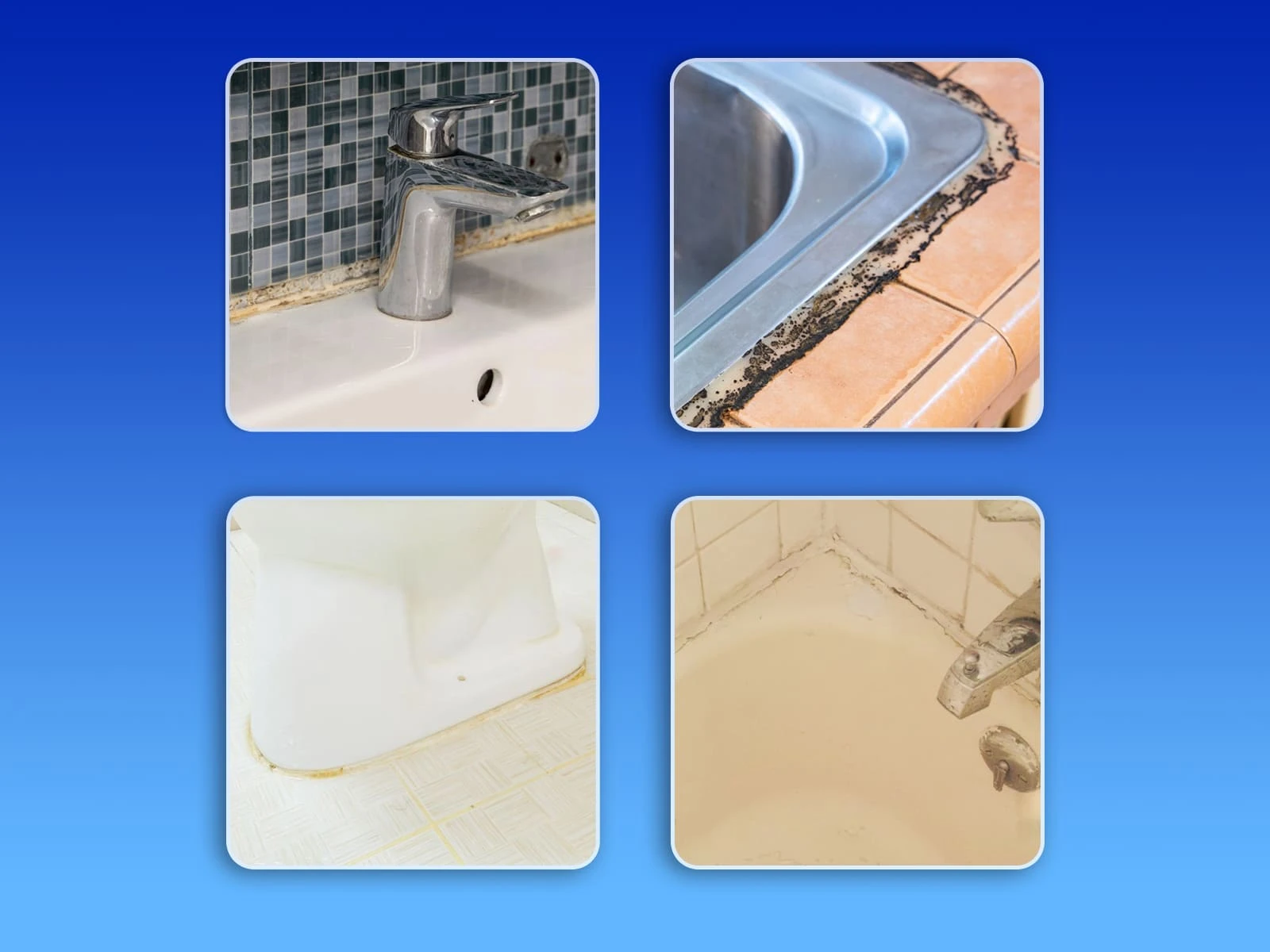 Khu vực nhà tắm có môi trường thuận lợi khiến ẩm mốc phát triển mạnh