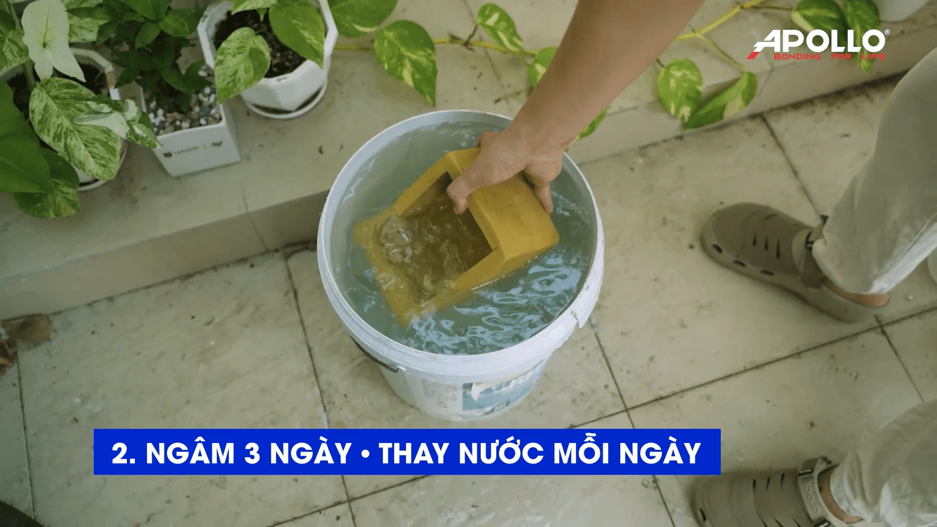 Ngâm chậm xi măng vào nước 3 ngày để giảm tính kiềm trong chậu