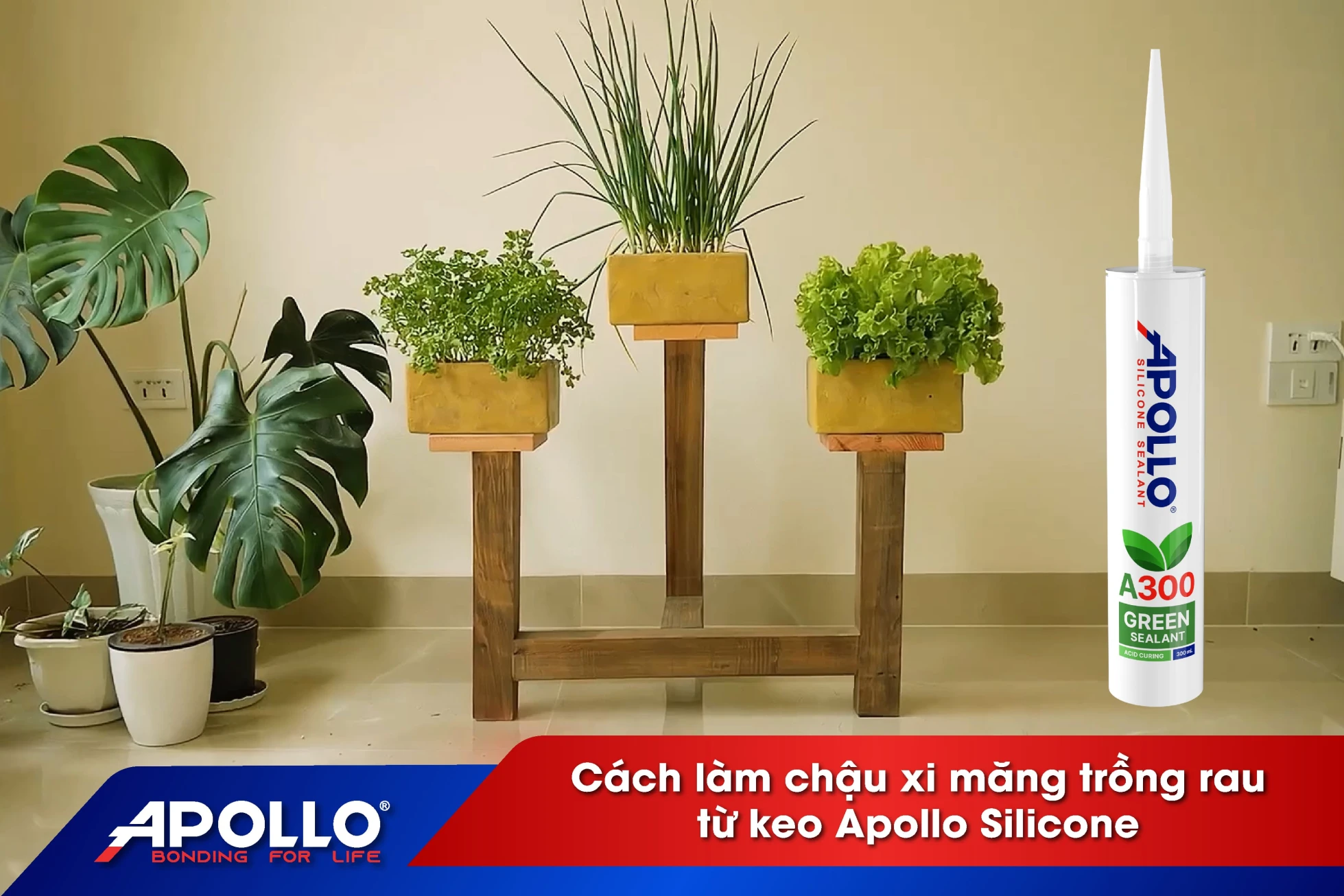 Hướng dẫn cách làm chậu xi măng bằng khuôn silicone đơn giản tại nhà