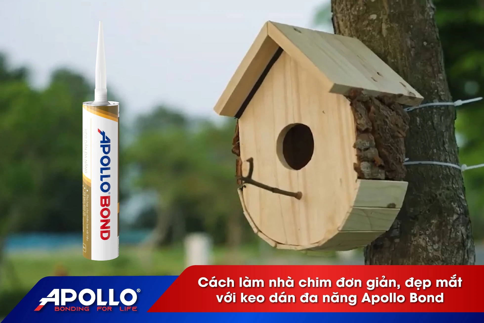 Cách làm nhà chim từ gỗ vụn đơn giản với keo dán đa năng Apollo Bond