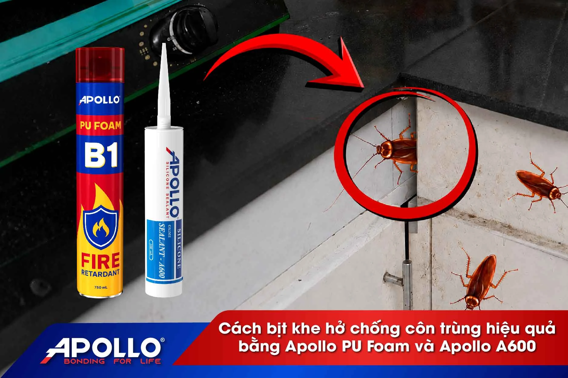 Cách bịt khe hở chống côn trùng hiệu quả trong nhà