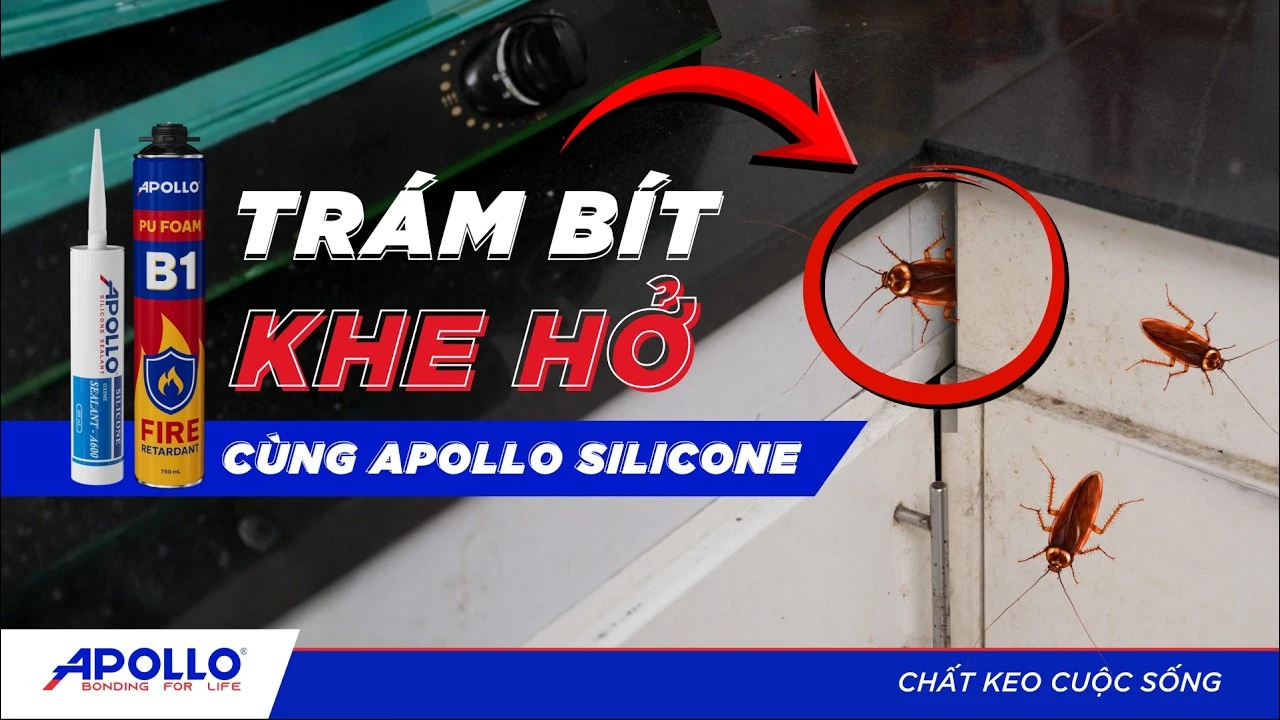 Bịt khe hở chống côn trùng, giữ nhà luôn sạch | Tháo vát hơn mỗi ngày
