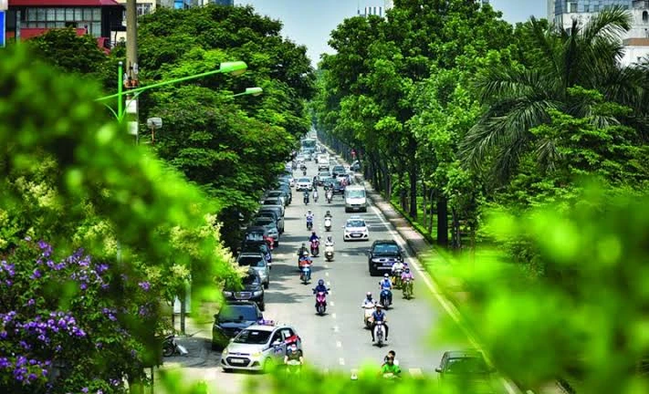 Theo Bộ Xây dựng, tỷ lệ cây xanh trên mỗi người dân tại các đô thị của Việt Nam ở mức thấp, chỉ từ 2 - 3 m2/người, trong khi chỉ tiêu xanh tối thiểu của Liên Hợp quốc là 10 m2/người và chỉ tiêu của các thành phố hiện đại trên thế giới từ 20 - 25m2/người.