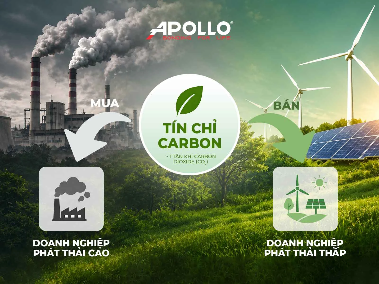 Trên thị trường carbon, các doanh nghiệp, tổ chức mua quyền phát thải carbon nếu cần bù đắp lượng phát thải để đạt mục tiêu giảm phát thải tự nguyện hoặc bắt buộc.