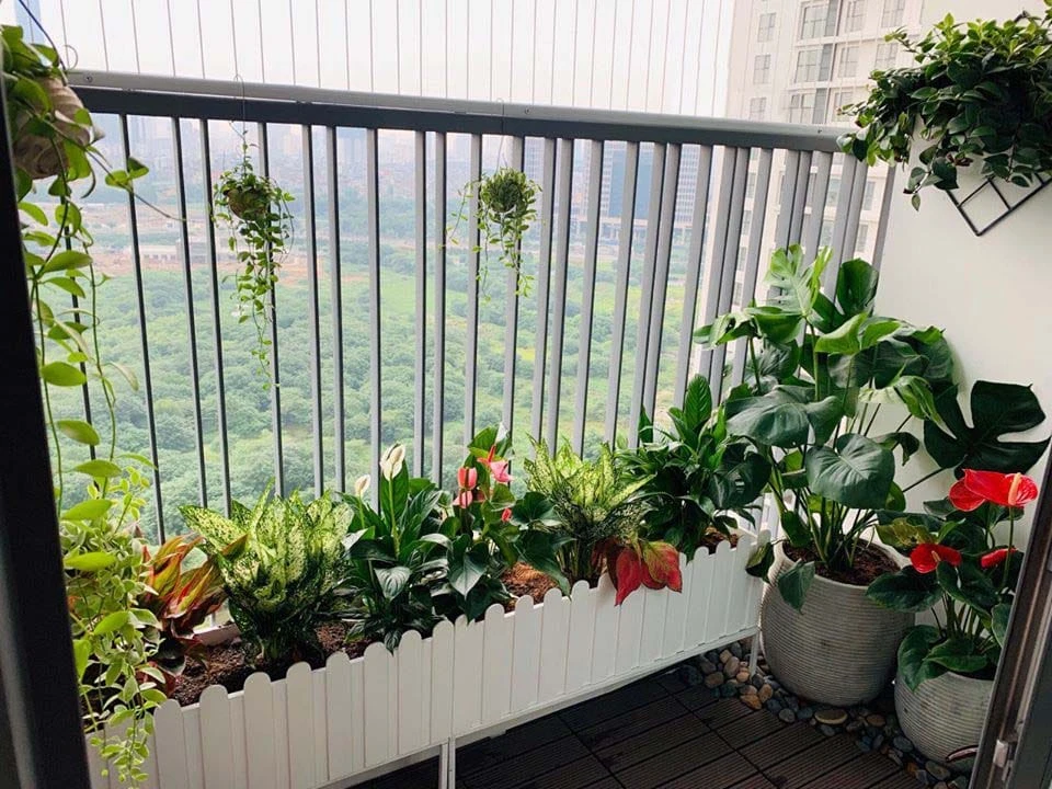 Ban công hướng Tây nên bổ sung rèm che và cây xanh