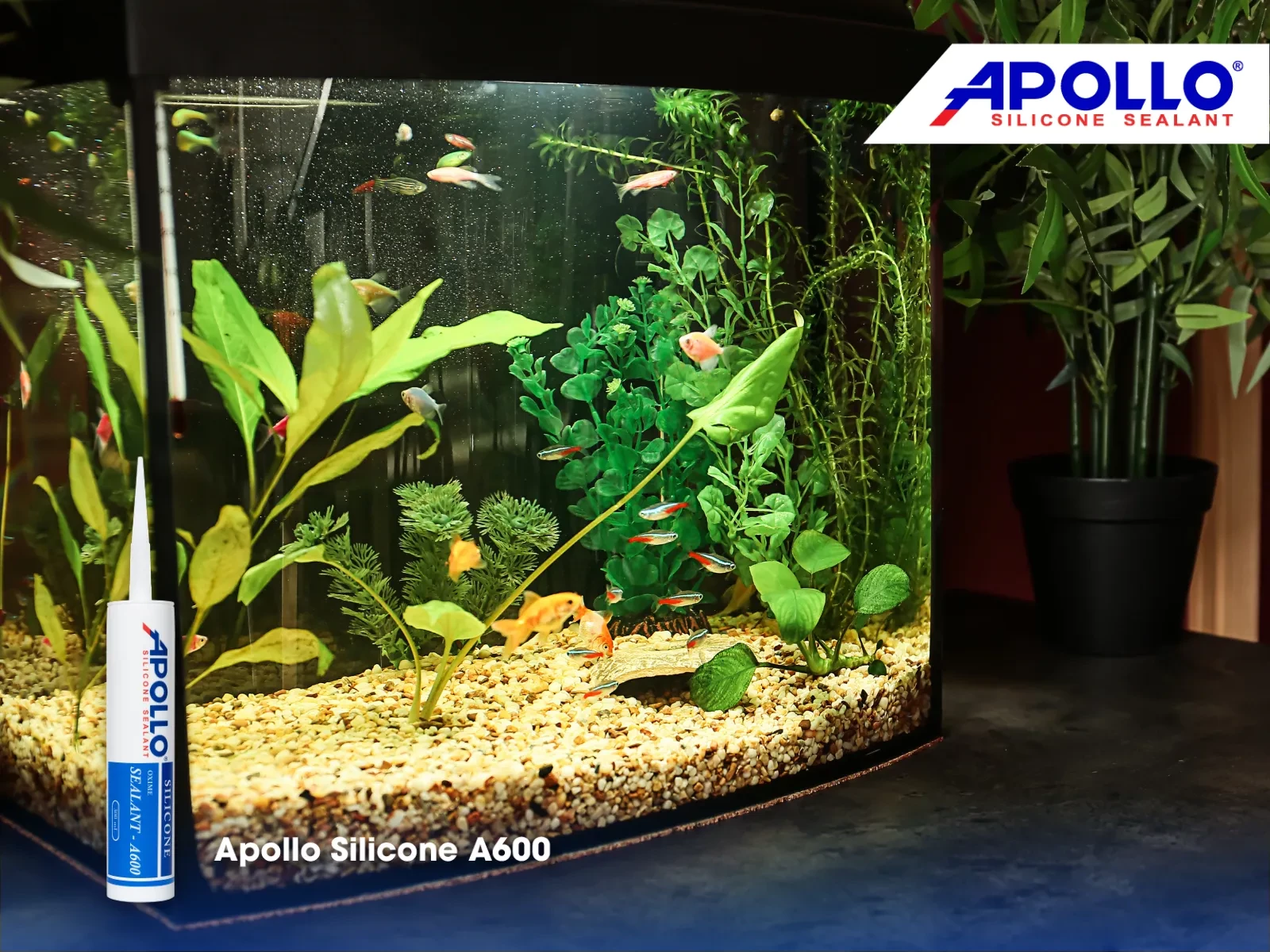Apollo Silicone A600 phù hợp với những hồ cá yêu cầu tính thẩm cao