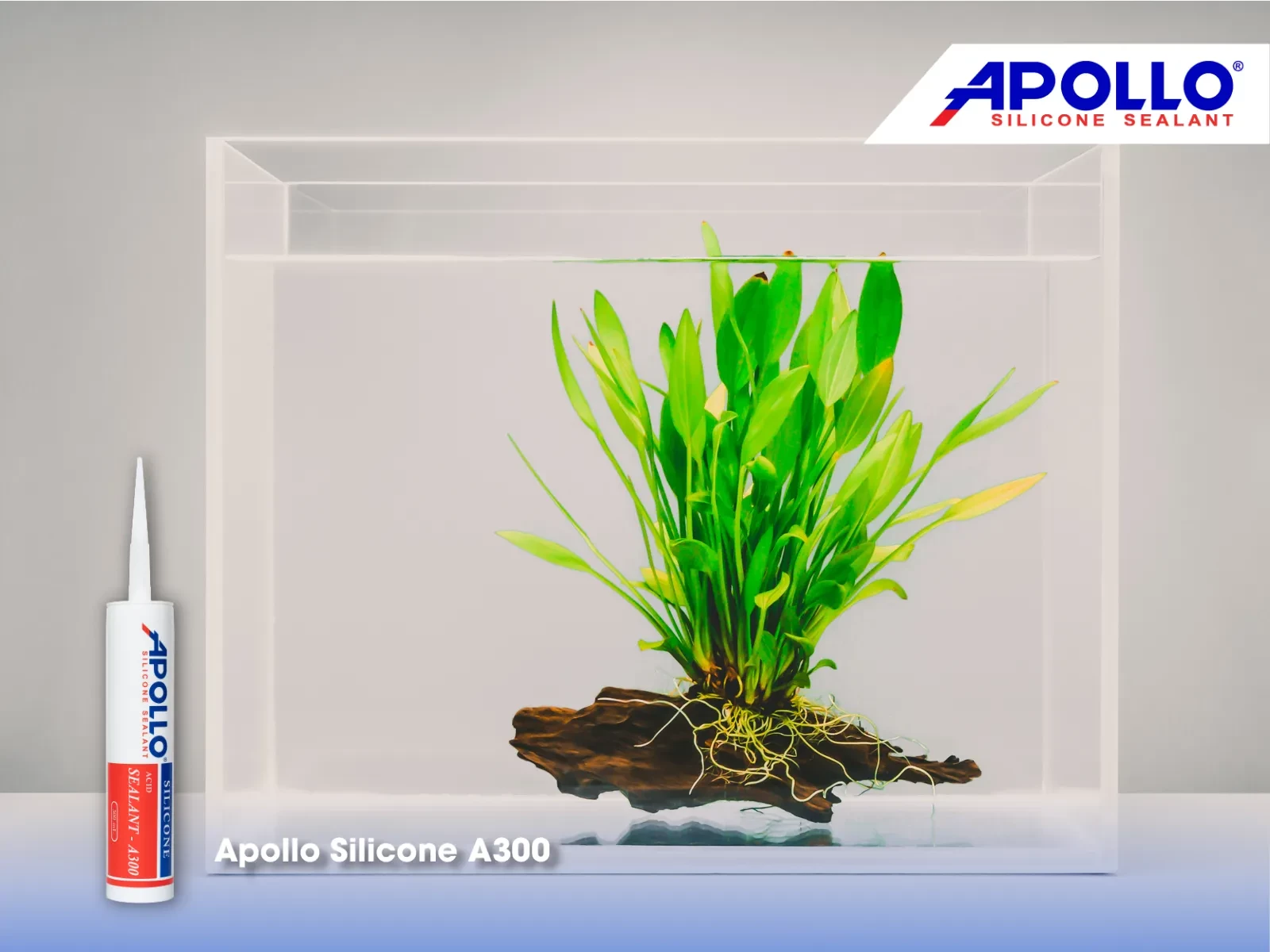 Sản phẩm Apollo Silicone A300 còn có thể dùng để làm hồ kính terrarium độc đáo